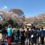 平成31年4月9日　お花見イベントを行いました。