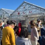 令和5年2月22日 わーくあっぷ福生、西口合同いちご狩りイベント