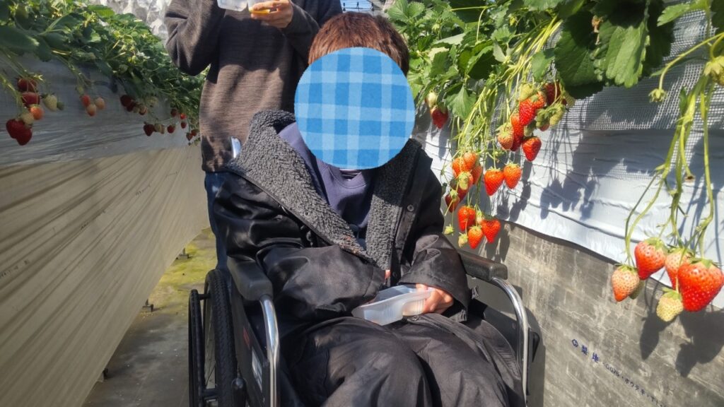 令和6年2月27日　わーくあっぷ瑞穂　いちご狩りイベント