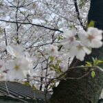 令和7年4月 立川事業所 バーベキューイベント