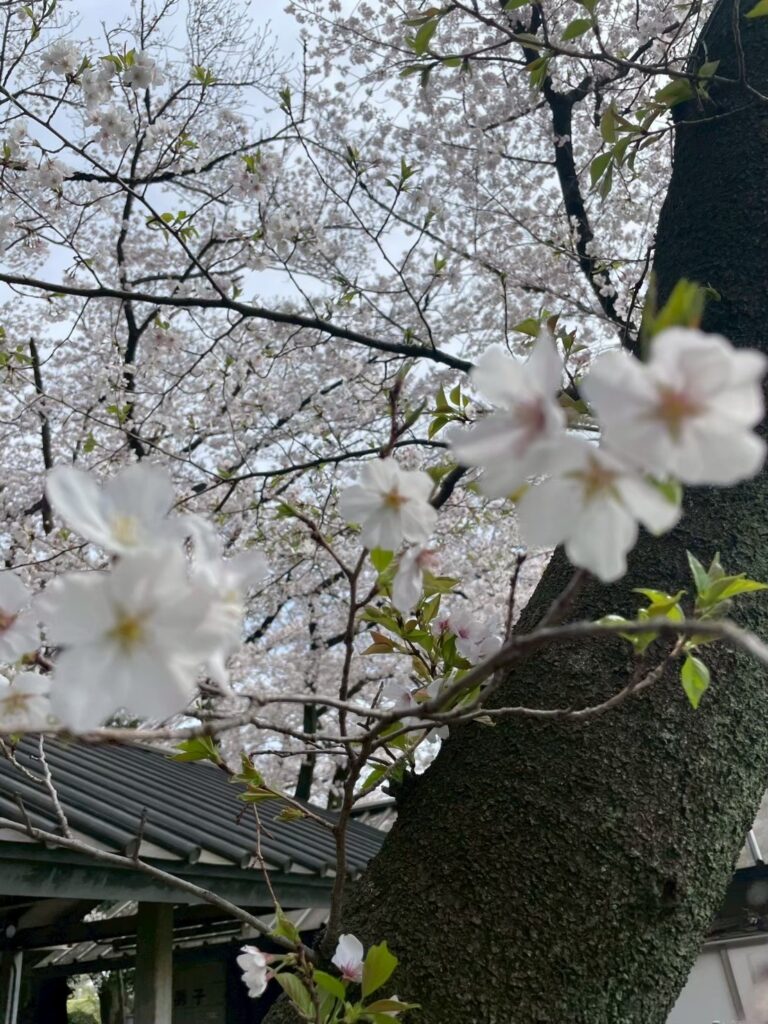 令和7年4月　立川事業所　バーベキューイベント