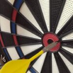 令和7年11月13日　わーくあっぷ瑞穂　ダーツ大会予選